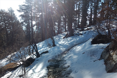 dayara-bugyal-trek