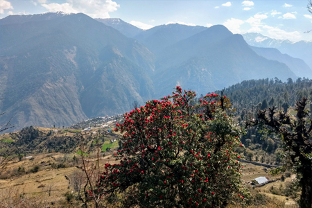 dayara-bugyal-trek