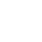 flying-fox-icon